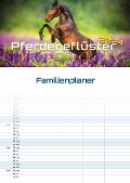 Pferdegeflüster - Der Pferdekalender - 2024 - Kalender DIN A3 (Familien-/Terminplaner) - 