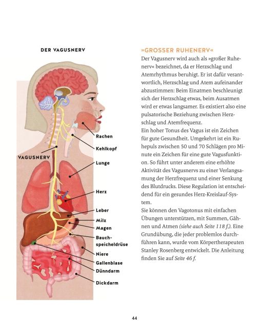 InsideView 47