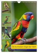 Cover-Bild zum Titel 'Die buntesten Vögel der Welt (Wandkalender 2026 DIN A4 hoch), CALVENDO Monatskalender' von 'Claudia Kleemann'