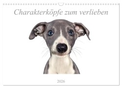 Charakterköpfe zum verlieben (Wandkalender 2026 DIN A3 quer), CALVENDO Monatskalender - Nicola Kassat Fotografie