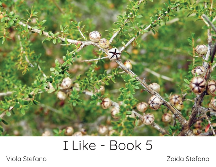 I Like - Book 5 - Zaida Stefano, Viola Stefano
