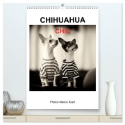 Cover-Bild zum Titel 'CHIHUAHUA CHIC Photos Marion Koell (hochwertiger Premium Wandkalender 2026 DIN A2 hoch), Kunstdruck in Hochglanz' von 'Marion Koell'