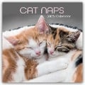 Cat Naps - Träumende Katzen 2025 - 12-Monatskalender - Gifted Stationery Co. Ltd
