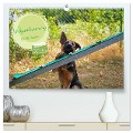 Welpentraining auf dem Hundeplatz (hochwertiger Premium Wandkalender 2025 DIN A2 quer), Kunstdruck in Hochglanz - Babett Paul - Babetts Bildergalerie