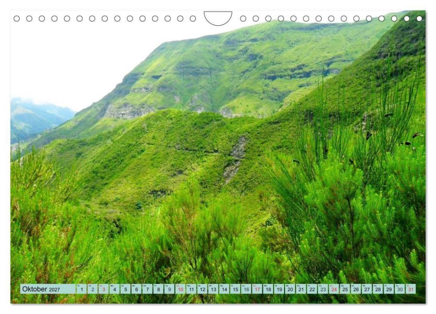 InsideView 2