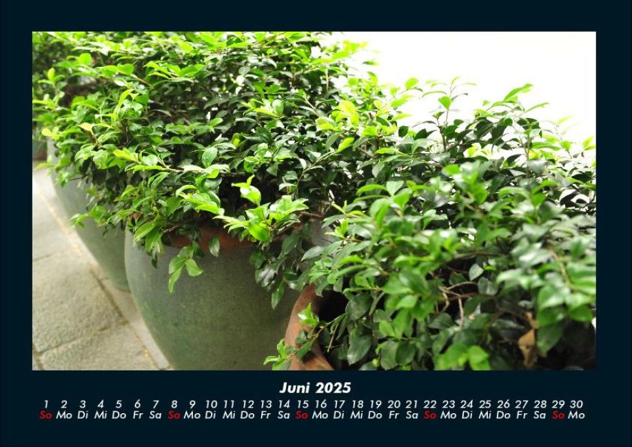 InsideView 10
