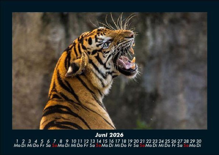 InsideView 10