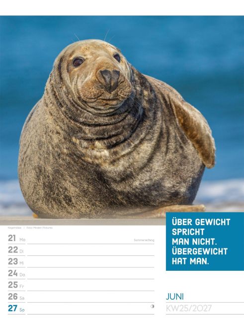 InsideView 29