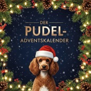 Cover-Bild zum Titel 'Der Pudel-Adventskalender' von 'Isabella Zimmermann'
