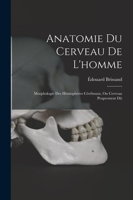 Anatomie Du Cerveau De L'homme - Édouard Brissaud
