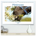 Pferdenasen (hochwertiger Premium Wandkalender 2025 DIN A2 quer), Kunstdruck in Hochglanz - Karolin Heepmann - Www. Karo-Fotos. De