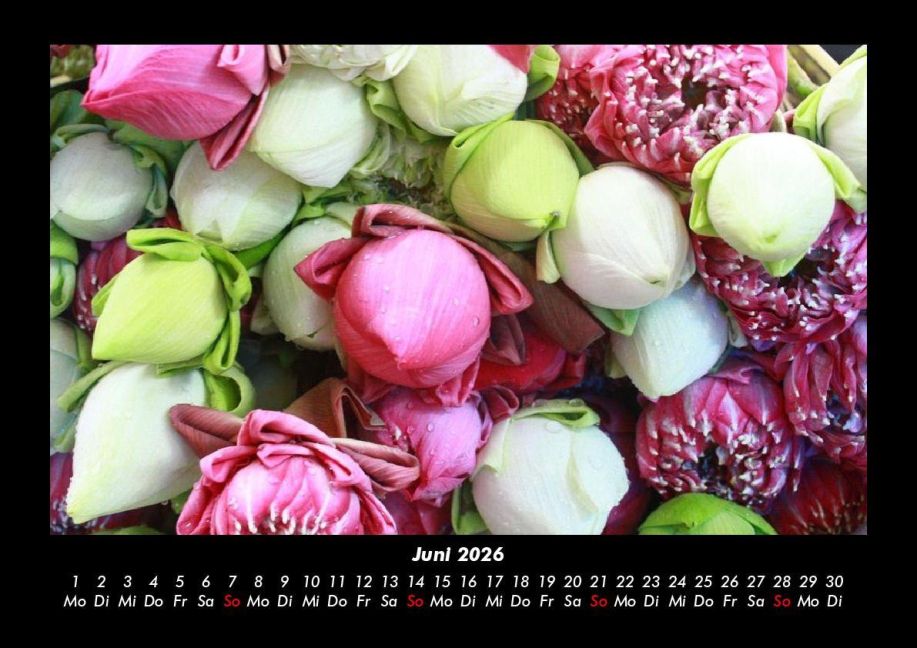 InsideView 10