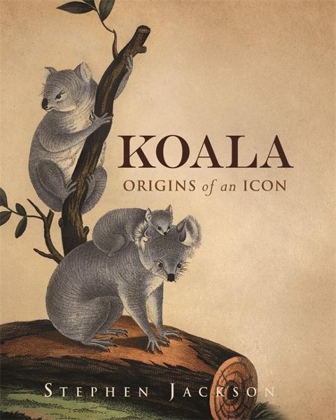 Koala - Stephen Jackson