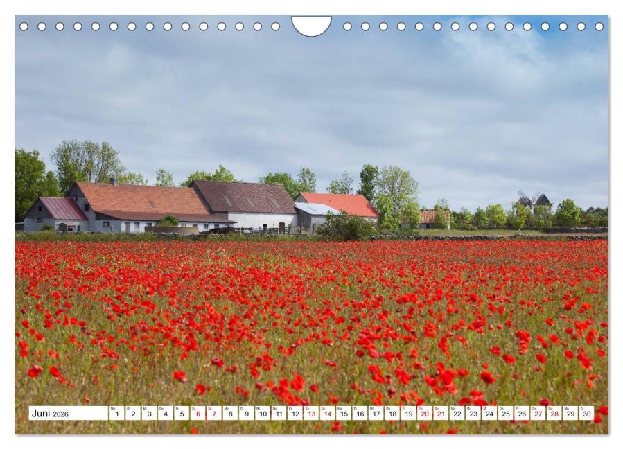 InsideView 11
