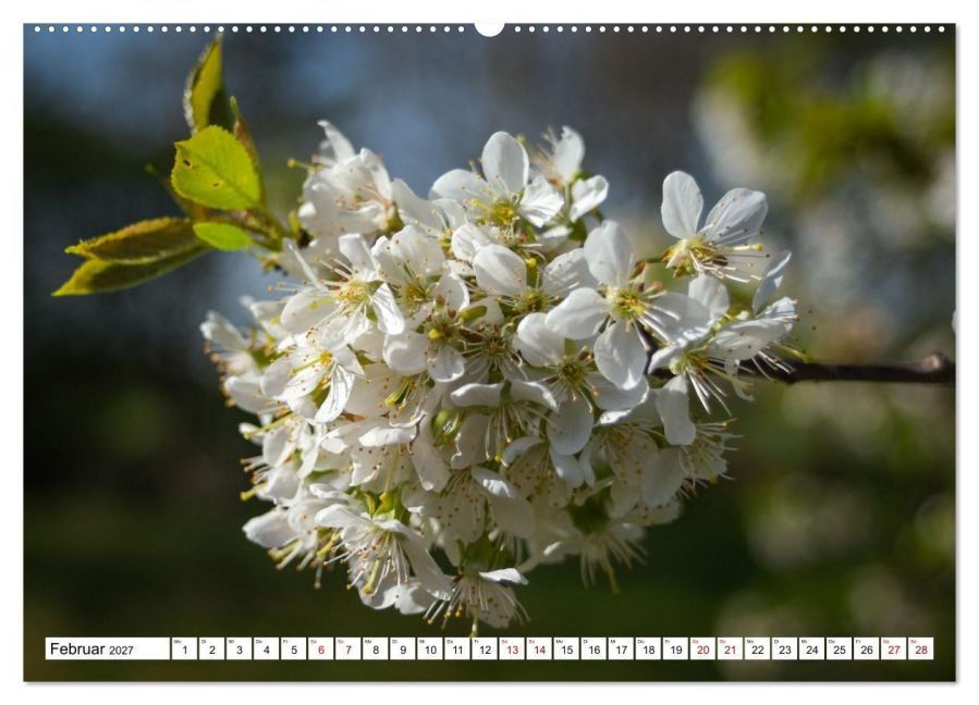 InsideView 7
