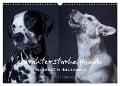 charakterstarke Hunde, wunderschöne Hundeportraits (Wandkalender 2025 DIN A3 quer), CALVENDO Monatskalender - Susanne Stark Sugarsweet - Photo