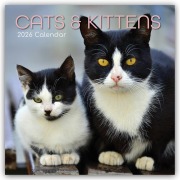 Cats and Kittens - Katzen und Kätzchen 2026 - 16-Monatskalender - Gifted Stationery Co. Ltd