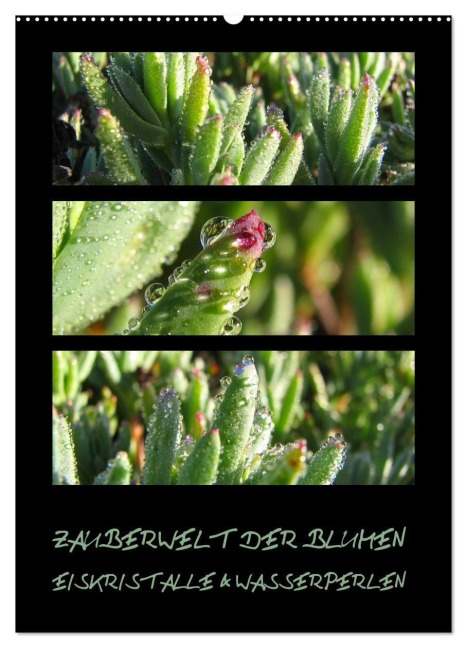 ZAUBERWELT DER BLUMEN - EISKRISTALLE & WASSERPERLEN (Wandkalender 2027 DIN A2 hoch), CALVENDO Monatskalender - Hinter-Dem-Horizont-Media. Net Tanja & Bernhard Kiesow
