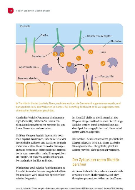 InsideView 12