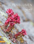 Cover-Bild zum Titel 'Alpenblumen Kalender 2027' von ''