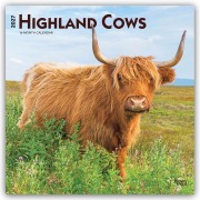 Cover-Bild zum Titel 'Highland Cows - Hochlandrinder 2027 - 16-Monatskalender' von 'Browntrout Publishers'