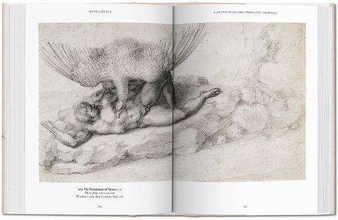 InsideView 7