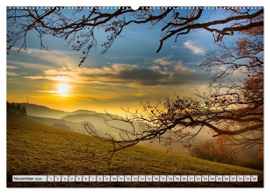InsideView 3