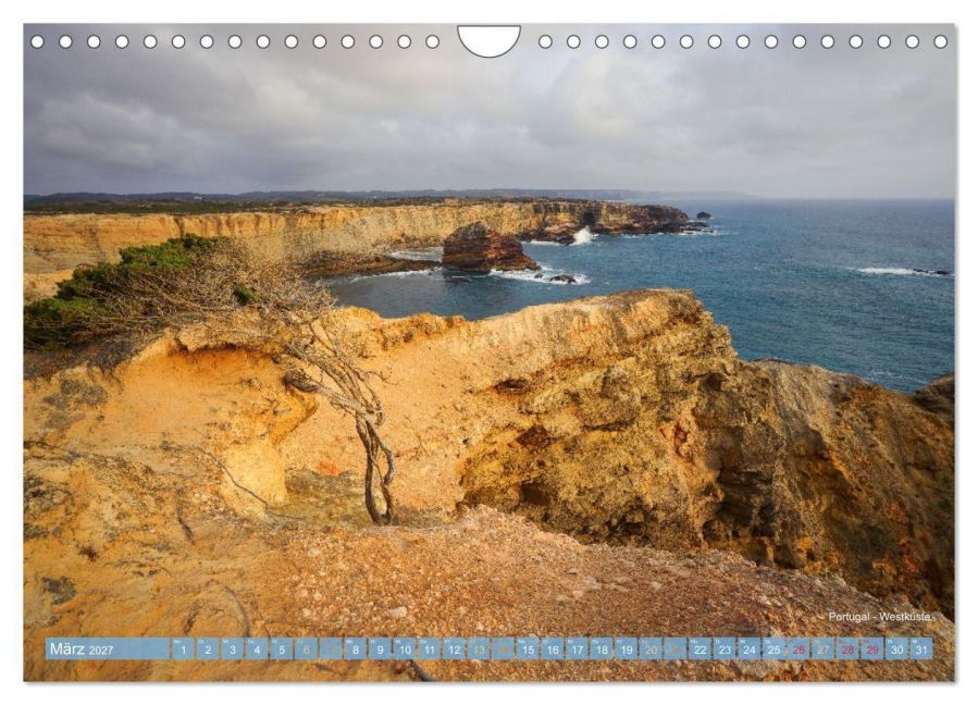 InsideView 8
