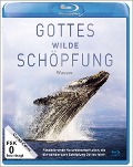 Cover-Bild zum Titel 'Gottes wilde Schöpfung-Wasser' von 'Gordon Wilson'