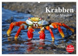 Krabben. Witzige Monster (Wandkalender 2026 DIN A2 quer), CALVENDO Monatskalender - Elisabeth Stanzer