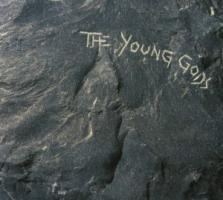 The Young Gods - The Young Gods