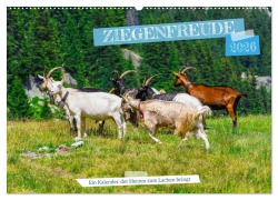 Cover-Bild zum Titel 'Ziegenfreude (Wandkalender 2026 DIN A2 quer), CALVENDO Monatskalender' von 'RenaldoCaumont RenaldoCaumont'