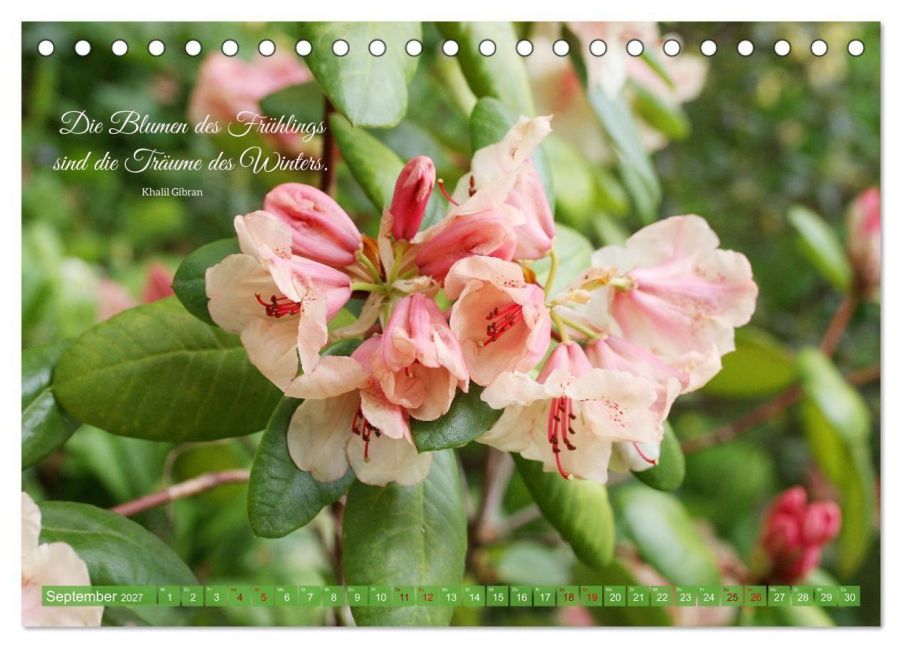 InsideView 14