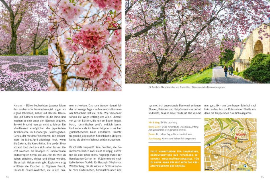 InsideView 9