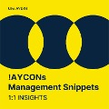 Cover-Bild zum Titel '!AYCONs Management Snippets' von 'Ulvi I. Aydin'