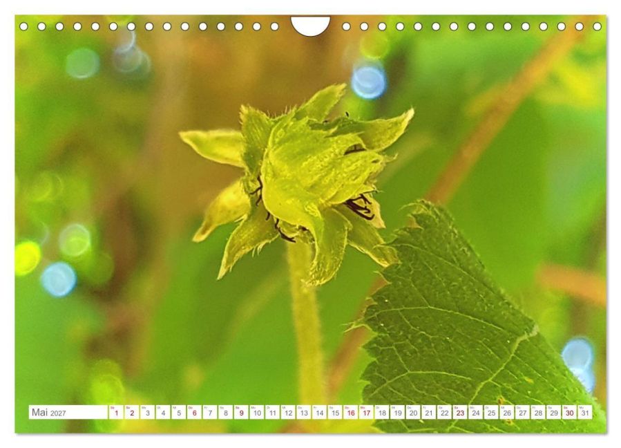 InsideView 10