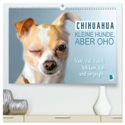 Cover-Bild zum Titel 'Chihuahua: Kleine Hunde, aber oho (hochwertiger Premium Wandkalender 2026 DIN A2 quer), Kunstdruck in Hochglanz' von 'Calvendo Calvendo'