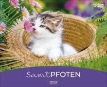 Cover-Bild zum Titel 'Samtpfoten 2027' von ''