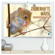 Cover-Bild zum Titel 'Zauberhafte Mäuse: Von wegen nur Grau (hochwertiger Premium Wandkalender 2026 DIN A2 quer), Kunstdruck in Hochglanz' von 'Calvendo Calvendo'