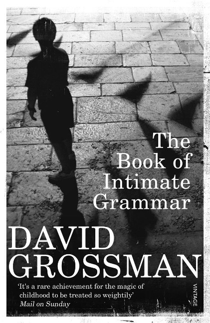 The Book Of Intimate Grammar - David Grossman