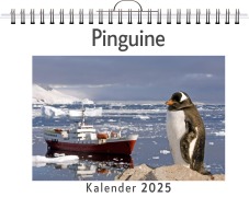 Cover-Bild zum Titel 'Pinguine' von 'Matteo Neumann'