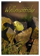 Wellensittiche (Wandkalender 2026 DIN A3 hoch), CALVENDO Monatskalender - Martina Berg