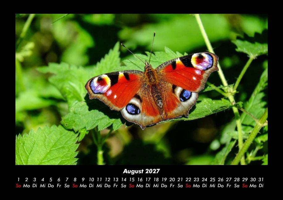 InsideView 12