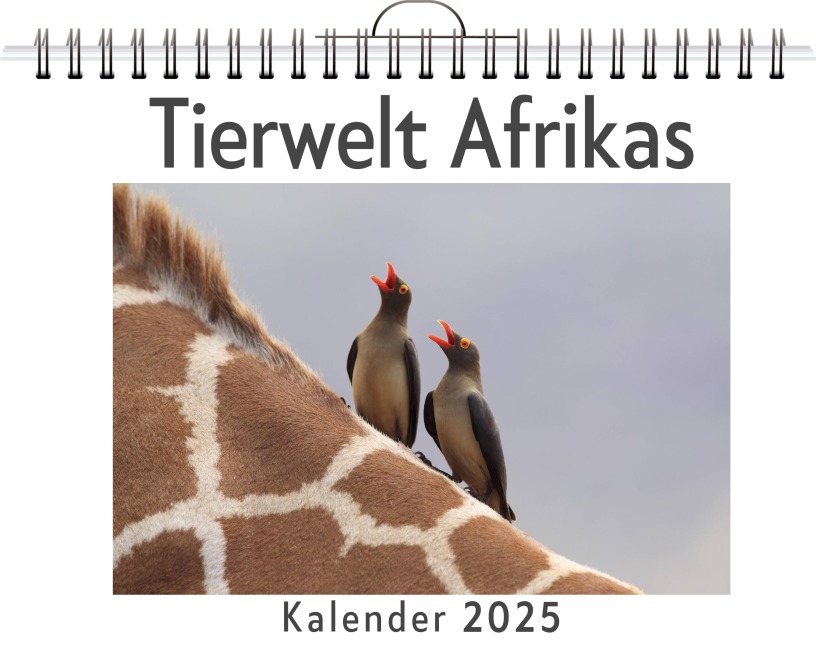 Tierwelt Afrikas - Laura Maier