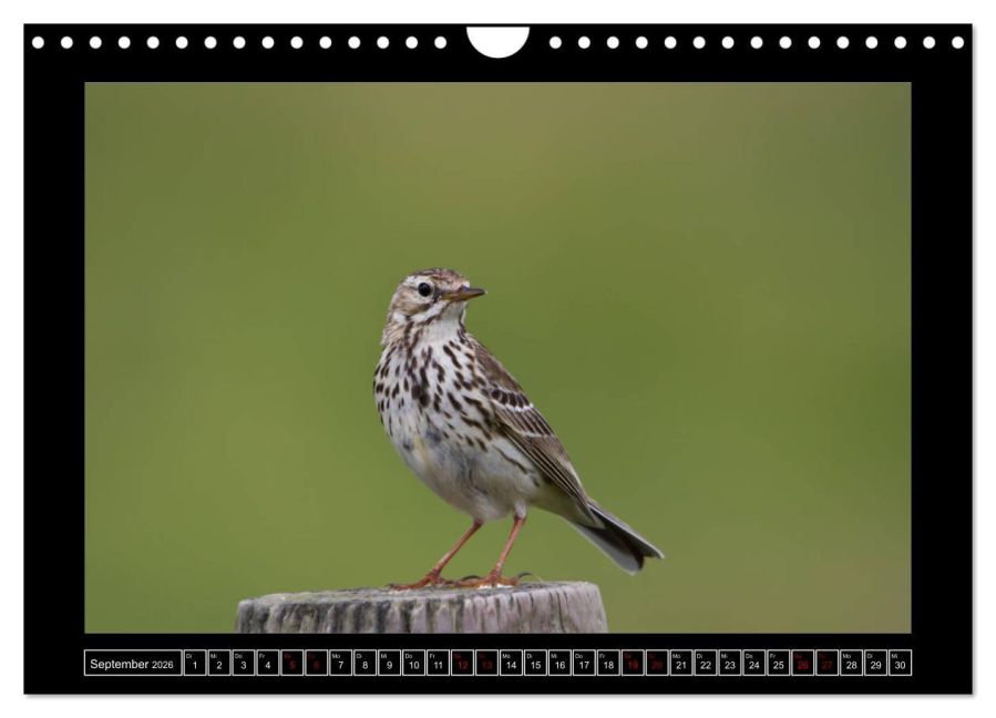 InsideView 14