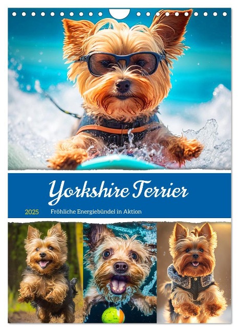 Yorkshire Terrier. Fröhliche Energiebündel in Aktion (Wandkalender 2025 DIN A4 hoch), CALVENDO Monatskalender - Rose Hurley