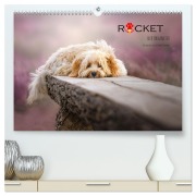 Cover-Bild zum Titel 'Rocket der Havaneser (hochwertiger Premium Wandkalender 2026 DIN A2 quer), Kunstdruck in Hochglanz' von 'Bettina Dittmann'