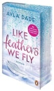 Cover-Bild zum Titel 'Like Feathers We Fly' von 'Ayla Dade'