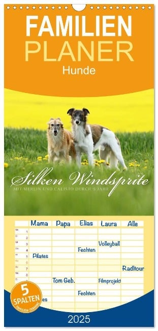 Familienplaner 2025 - Silken Windsprite - Mit Merlin und Calisto durch¿s Jahr 2025 mit 5 Spalten (Wandkalender, 21 x 45 cm) CALVENDO - Maike Müller - Goldenmerlo. De