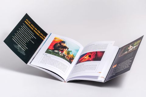InsideView 7